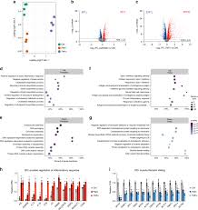 Often exercises are named according to the body part worked, but sometimes they are ambiguous leading you to wonder as to what muscle group you the chart provides a broad view as to where the muscles are located (originate and insert), their function, common total gym exercises to strengthen. Skeletal Muscle Enhancer Interactions Identify Genes Controlling Whole Body Metabolism Nature Communications