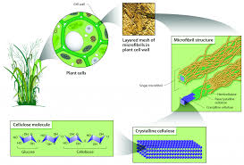 Cellulose is a complex organic compound. Cellulose A Promising Material For 3d Food Printing 3d Printing Industry