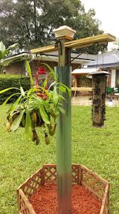 Wild Bird Feeding Station Ideas Bird Feeding Station Fresh Gardening Ideas Bird Feeding Station Squirrel Proof Bird Feeders Bird Tables