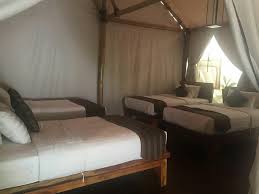 Your stay at wildhaven includes more than just a spacious and comfortable tent cabin. Maribaya Glamping Tent Prices Campground Reviews Lembang Indonesia Tripadvisor