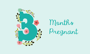 We did not find results for: 3 Months Pregnant Symptoms And Fetal Development Pampers