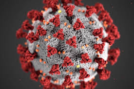 Alberta's state of public health emergency in canmore. Alberta Identifies 1 828 New Covid 19 Cases On Friday Sylvan Lake News