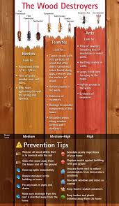 Cincinnati Termite Cincinnati Pest Control Northern Kentucky Termite No Ky Pest Control Termites Termite Prevention Custom Wood Designs