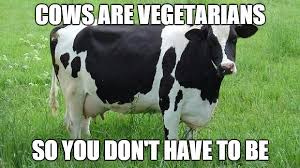 Image result for cow meme
