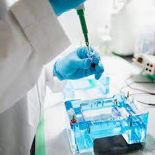 Ethics, education, employment, techniques, articles, and news. Forensic Science Labs Are On The Brink Of Collapse Warns Report Forensic Science The Guardian