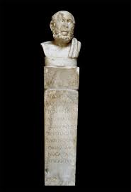 Image result for Hippocratea goetzei