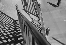 Andre Kertesz Sans Titre New York 1951 Negatif Gelatino Bromure D Argent Noir Et Blanc Sur Support Souple Donation Andre Kertesz Noir Et Blanc Photographie