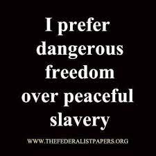 There is no must in art quotes on freedom and independence. I Prefer Dangerous Freedom Over Peaceful Slavery Words Thomas Paine Quotes Inspirational Quotes