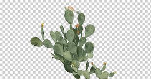 Planting a prickly pear seed gives 170 experience and requires a prickly pear seed to be planted/dipped into a cactus patch using a seed dibber. Barbary Fig Eastern Prickly Pear Cactaceae Beavertail Cactus Plant Plant Cactus Ash Fig Trees Png Klipartz