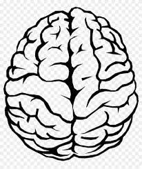 Digital art 1080p, 2k, 4k, 5k hd wallpapers free download, these wallpapers are free download for pc, laptop, iphone, android phone and ipad desktop Brain Outline Png Image Simple Brain Drawing Clipart 38904 Pikpng