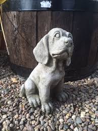 Pin On Dog Stuff