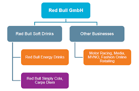 Red Bull Organizational Structure Research Methodology