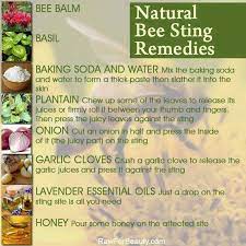 Natural Bee Sting Remedies Baking Soda And Water Worked For Us Today Remedies For Bee Stings Bug Bites Remedies Remedies