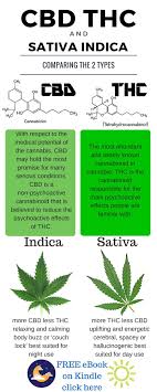 Pin On Mmj Cannabis Health