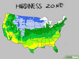 Zone 11 never really gets colder than 40 degrees f. How To Understand Plant Hardiness Zones 9 Steps With Pictures