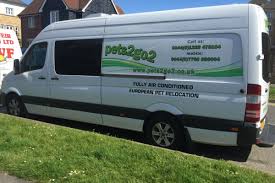 Our animal relocation service is second to none thanks to our extensive experience with overseas pet transport. Uk To Europe Pet Travel By Road European Pet Transport Pets2go2