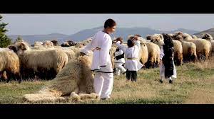 Arhiva cu 2 versuri de lucreţia ciobanu inclusiv. Urca Oile La Munte By Alb3rto By Alberto Rusea