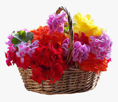 • then draw flower petals from the edge of the. Flower Basket Transparent Hd Png Download Transparent Png Image Pngitem