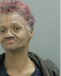 ᐅ Illinois Criminal Records 2009-2025