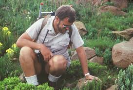 Image result for Mohria vestita