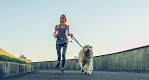 We did not find results for: Puppy Won T Stop Biting Here Are 6 Tips To Help