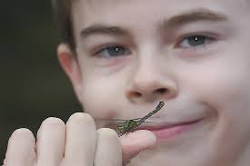 The News Journal of the Dragonfly Society of the Americas