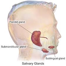Image result for Sialoadenitis
