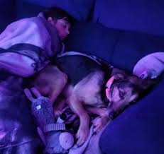 Please Help Buck GET a NEW HIP by Leland Warner