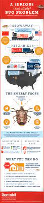 The brown marmorated stink bug (halyomorpha halys) is an insect in the family pentatomidae, native to china, japan, and other asian regions. Getting To Know The Brown Marmorated Stink Bug Visual Ly