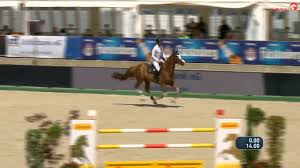 Bei den olympischen spielen in tokio wollte das pferd saint boy der fünfkämpferin. David Will Showjumper Facebook