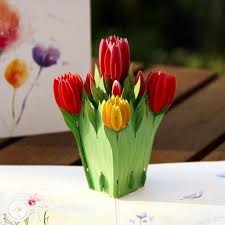 Some are elegant and refined and feature floral designs or elegant patterns. Pop Up Birthday Cards 3d Pop Up Cards Pop Robin Cards Uk