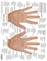 100 Gloss Hand And Foot Reflexology Chart English Foot