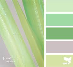Day At The Spa Mint Andes Mint Steel Gray Army Green And Olive Design Seeds Color Color Design