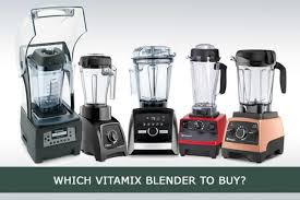 Buying Guides To Choose The Best Vitamix Blender For You