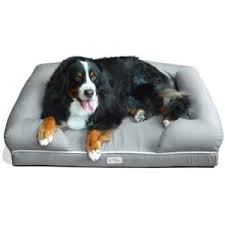 Best budget bed for large dogs. Large Dog Beds 2021 Ask Experts Dogsrecommend