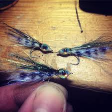 4 Likes 1 Comments Zach Moore Zachmoooooore On Instagram Some Size 6 Epoxy Chum Fry Searuncutthroat Flyfishing Washington Pnw Flytying