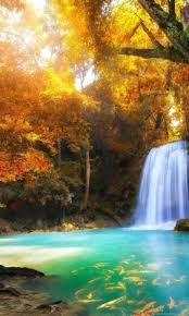 These wallpaper photos will cute panda wallpaper. Hd Nature Wallpapers Download Hd Images Nature Of Cool Pictures Of Waterfalls 768x1280 Wallpaper Teahub Io