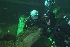 Activiteiten Rescue Divers Breukelen