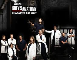 To this day, he is studied in classes all over the world and is an example to people wanting to become future generals. Which Grey S Anatomy Character Are You Quiz Zimbio