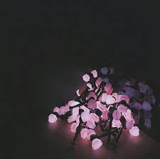 Aesthetic Black And Pink Roses Pin By Aºc E On Bliackpink Pink Aesthetic Aesthetic Roses Blackpink