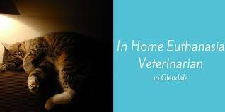 Once your pet has passed, you will have the option to take your pet back home for burial, or we can help you send your pet to a place where he or she can be cremated and you can retrieve the ash at a later date. In Home Euthanasia Veterinarian In Glendale Az Blog