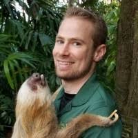 100+ "Suich" profiles