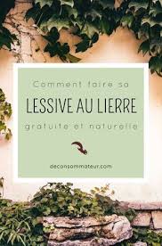 Comment Faire De La Lessive Au Lierre Gratuit Naturel Deconsommateur Lierre Lessive Feuille De Lierre
