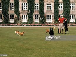 Hm The Queen With Her Dogs On The Lawn In Front Of Balmoral Castle 2019
