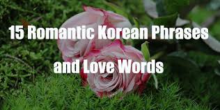 Vậy oppa saranghaeyo nghĩa là gì và viết bằng tiếng hàn như thế nào, các bạn tham khảo bài viết sau để giải đáp thắc mắc này nhé! 15 Romantic Korean Phrases And Love Words Topik Guide The Complete Guide To Topik Test