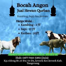 Contoh surat permohonan hewan qurban have an image from the other contoh surat permohonan hewan qurban it also will include a picture of a kind that might be seen in the gallery of contoh surat permohonan hewan qurban. Jual Hewan Kambing Sapi Kerbau Akikah Qurban Shopee Indonesia