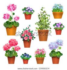 2,459 free images of flower pots. Flower Pots Clip Art Flower Pot Png Stunning Free Transparent Png Clipart Images Free Download