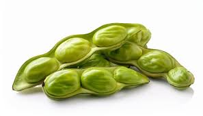 Image result for Parkia