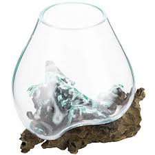 Regarder des films en streaming complet sur votre smart tv, console de jeu, pc, mac, smartphone, tablette et bien plus. Mygift Natural Driftwood Clear Molten Glass Bowl Plant Terrarium Buy Online In Burkina Faso At Burkinafaso Desertcart Com Productid 89062451