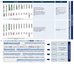 Diagnostics Free Full Text Bilateral Phyllodes Giant Tumor A Case Report Analyzed By Array Cgh